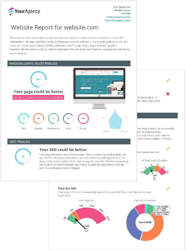 Audit PDF Report